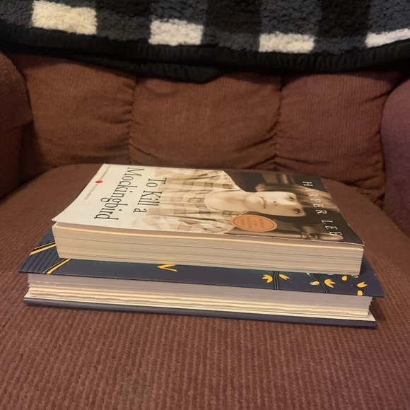 To Kill a Mockingbird and Go Set a Watchman book bundle - Picture 5 of 12